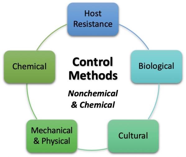 Figure 2. Graphic displays the nonchemical and chemical control methods included in an IPM program.