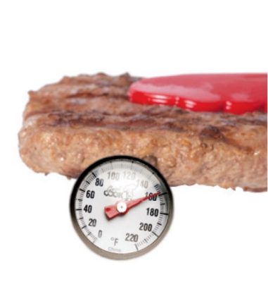 Grilled steak with a thermometer showing 160 degree Fahrenheit