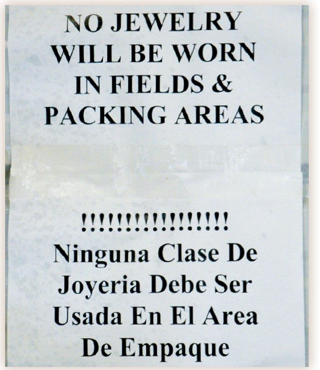 Remind workers that no jewelry should be worn in the fields or packing areas.