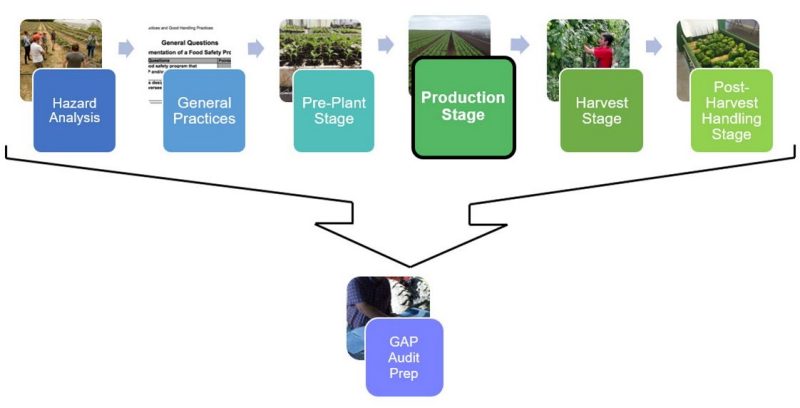 Figure 1. Flow chart showing the different pieces of the series with 6 colored boxes and names of each part, that point to GAP audit preparation box. The fifth box for the Harvest stage is highlighted.