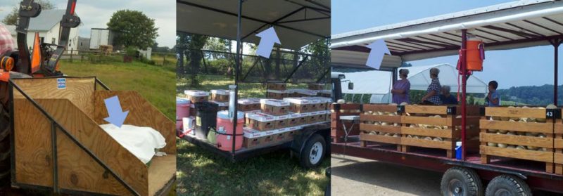 Figure 6. Three photos showing examples of preventing contamination of harvested produce (from left to right): a large cotton sheet covering harvested produce, a small canopied trailer with secondary cardboard boxes holding clamshells of berries, and a large canvas-covered trailer holding wooden bins of melons.