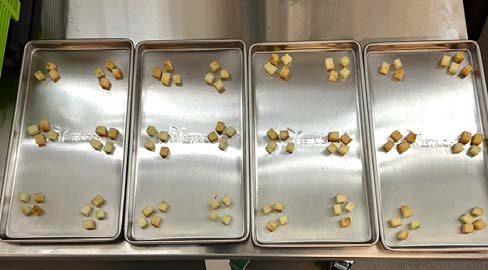 Diced apples placed on stainless steel trays prior to freeze-drying.