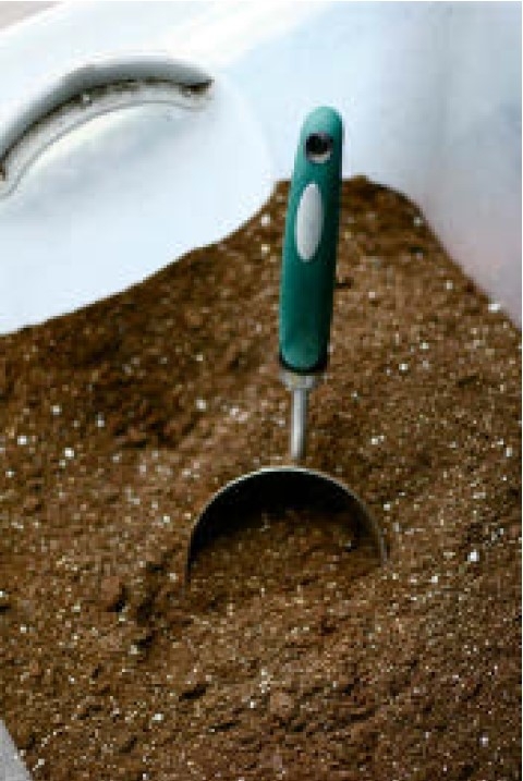 Soilless mix is ideal for bulb forcing.