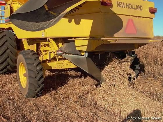 New Holland combine modified for narrow windrow burning. Picture shows all material exiting the combine being deposited in a row for narrow windrow burning.
