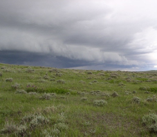 A green pasture with a dark storm cloud on the horizon.