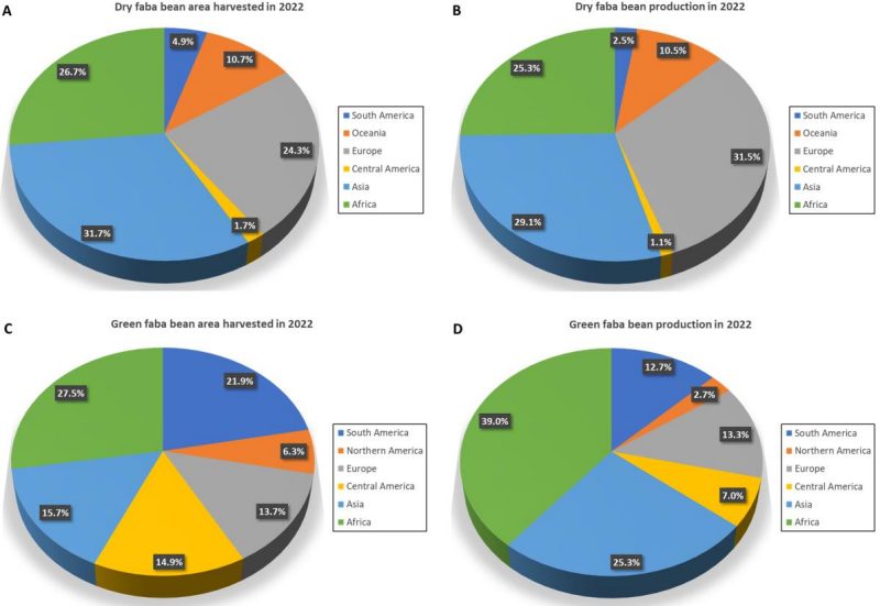  Figure 2. Pie charts showing regional contribution (%) to dry and green faba bean area harvested and production in 2022. The pie charts were generated from crops and livestock statistical data available on the website of Food and Agriculture Organization.