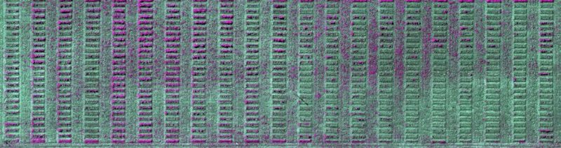  Figure 4. False color band composite of faba bean research trial derived from the images collected by the drone on February 29, 2024, at Tidewater Agricultural Research and Extension Center in Suffolk, Virginia.