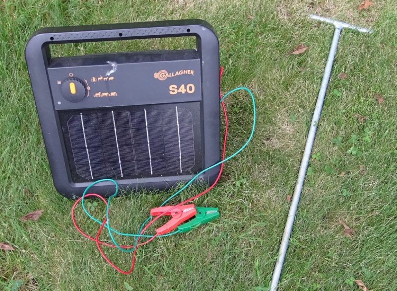 A Gallagher S40 solar energizer with red and green grounding wires with alligator clips sitting on a grassy area next to a galvanized steel grounding rod.