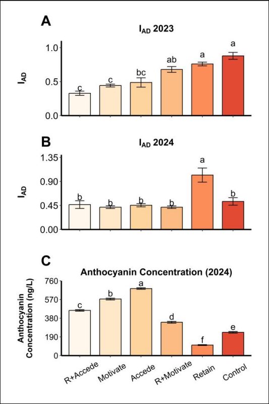 A bar diagram showing effect treatments on chlorophyll degradation and anthocyanin contents at harvest. The top panel shows differences in chlorophyll degradation in 2023, middle panel shows differences in chlorophyll degradation in 2024, and bottom panel shows differences in anthocyanin content in 2024. (Rectangle)