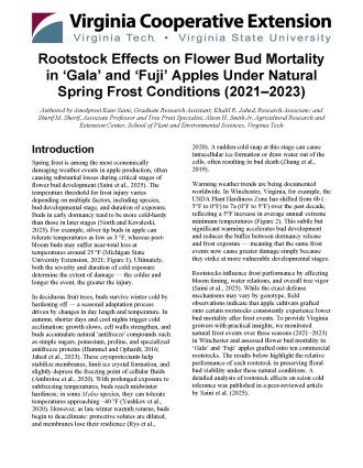 Rootstock Effects on Flower Bud Mortality in ‘Gala’ and ‘Fuji’ Apples Under Natural Spring Frost Conditions (2021–2023) Cover page of the publication.
