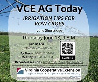 Cover for publication: VCE Ag Today: Irrigation Tips for Row Crops
