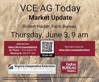 Cover for publication: VCE Ag Today: Market Update