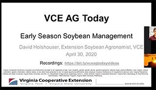 Cover for publication: VCE Ag Today: Soybean Update
